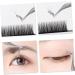 GLEAVI Eyelash Curler Eyebrow Curler Lash Applicator False Lash Mascara Curved Eyelash Tweezers Face Hair Tweezers Eyelash Holder Eyelash Comb Stainless Steel Miss Make up Extend - Buy Online on GoSupps.com