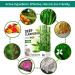 WisePatch Foot Pads 100 PCS - Natural Detox Foot Patches for Body Cleansing - Buy Online on GoSupps.com