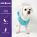 Cyeollo 2 Pack Fleece Dog Sweater Vest with Reflective Stripe - Teal & Grey - For Small, Medium, Large Dogs - Buy Online on GoSupps.com