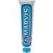 Marvis Whitening Mint & Aquatic Mint Toothpaste 85ml | Healthy Gums & Long-Lasting Freshness | Buy Internationally - Buy Online on GoSupps.com
