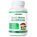 LIOEUBIO Mushroom Supplement with Lion s Mane Reishi & Cordyceps Complex for Energy Support - Vegan Non-GMO - 90 Capsules