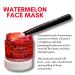 Watermelon Face Mask - Moisturizing & Brightening | Softening Watermelon Extract for All Skin Types | Includes Silicone Brush - Buy Online on GoSupps.com