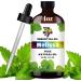 GV77ZF Essential Oil Two 4 Fl Oz (120Ml) Set - Pure Natural Melissa Oil and Jasmine Essential Oil for Diffuser Humidifier Skin Care Home Fragrance Bath Hair Care Cleansing Massage Yoga DIY So - Buy Online on GoSupps.com