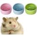 CAJHFIZHANGU 1pc Gradient Side Hamster Ceramic Bowl Hamster Food Bowl Ceramic Water Bowl Small Animal Water Bowl Anti-bite Small Animal Food Bowl Water Feeder for Rabbit Hedgehog Guinea-Pig Green - Buy Online on GoSupps.com