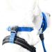 Zerodis Dog Head Halter with Safety Strap Stops Heavy Pulling On The Leash Padded Headcollar for Small Medium and Large Dog Sizes Adjustable Head Collar for Dogs (Red) L (about 6 8 Years Old) Red - Buy Online on GoSupps.com