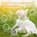 Cat Repellent Treatment Adjustable Cat Repellent Collars Natural Protection Repellent Collar for Cats Water Resistant Repellent Collar for Cats Small-Medium-Large Green 2pack - Buy Online on GoSupps.com