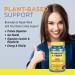 Natures Life Bromelain & Papain Enzymes | Digestive Support & Comfort | Pineapple & Papaya | 250mg | 100 Vegetarian Capsules - Buy Online on GoSupps.com