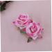 Healeved Floral Hair Accessories Hair Accessories for Kids Bridal Headpiece Rose Flower Comb Rose Hair Accessories Flower Hair Clip Rose Flower Bridal Hair Combs Pink Roses Child Flowers - Buy Online on GoSupps.com