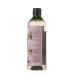 Volume & Curls Shampoo with Tuscan Red Grapes | Defined & Bouncy Curls | Vegan & 95% Natural Ingredients | 12.51 fl oz - Shop Internationally - Buy Online on GoSupps.com