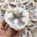 Natural Crystal Rough Natural White Agate Geode Slice Quartz Crystal Cluster MineralsCrystal Home Decoration for Decoration Stone Generator HOMEZHOU 2pcs - Buy Online on GoSupps.com