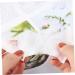 minkissy 2 1 Nail Polish Remover Pads Makeup Remover Pads Personal Care Wet Wipes Makeup Cotton Wipes Disposable Hand Wipes First Aid Wipes Face Wipes White Double Sided Powder Puff White 5.8X5.3CM - Buy Online on GoSupps.com