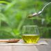 Ourons 500ml Hemp Oil for Dogs - Cold Pressed & Food Grade - Buy Online on GoSupps.com