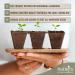 Nutley's 15ml* Plastic Free Cardboard Cosmetic Tube (5) - Buy Online on GoSupps.com
