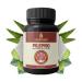 pexal Dharishah Ayurveda Pilepro Ayurveda Capsules for Bleeding Piles/Hemorrhoids (30 Capsules)