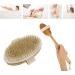 Natural Bristle Bathing Brush with Long Handle - Back & Body Peeling Massage Brush for Shower - Dry or Wet Use - Buy Online on GoSupps.com