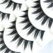 5 Pairs Japanese Makeup False Eyelashes - Long Thick Natural Fake Lashes for Stunning Beauty | DIY Eye Lash Extensions - Buy Online on GoSupps.com