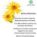  green idea green idea - Arnica Montana Herb Extract - Sports Massage - For Bruises and Sprains - Bruises - Hair Strengthening - Muscle Relaxation - Natural - With Menthol 100 ml - Buy Online on GoSupps.com