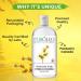 PUROLEO Witch Hazel Toner 16 Fl Oz/473 ML (Packed in Canada) Refresh and Revitalize Your Skin with | Premium Bottle | Luxury Skin Care Toner | Facial Toner for Postpartum & Skincare 473 ml (Pack of 1) - Buy Online on GoSupps.com