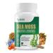 Sea Moss Capsules Irish Sea Moss Pills w/ Ashwagandha Supplements Chlorella Black Seed Oil Bladderwrack and Vitamin C Vitamin D3 for Women and Men.Third-Party Tested(Made & Tested in USA) 60 Capsules