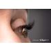 Shop B-Curl Clavier Artificial Eyelashes in Tufts | 10 Lashes per Tuft | Multi-Dimensional Effect | Lengths 6-14 mm - Buy Online on GoSupps.com