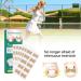 60 Pcs Toenail Correction Patch - Ingrown Toenail Corrector Tools for Perfect Pedicure - Buy Online on GoSupps.com