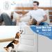 Wireless Dog Doorbell & Buzzer - Waterproof 300m Range 60 Ringtones Adjustable Volume - Smart LED Flash - 1 Transmitter + 1 Receiver - Buy Online on GoSupps.com