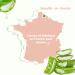 Corine de Farme - Day Cream with Aloe Vera Extract - Moisturizes Nourishes Soothes - All Skin Types - 99% Ingredients of Natural Origin - French-Made Facial Care - 50 ml - Buy Online on GoSupps.com