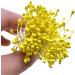 HAHIYO 700Pcs 3mm Yellow Gold Pearl Double Head Flower Stamen Pistil - Hand-Made Artificial Floral Pollen Stamen for Flower Making and Scrapbook Decoration - Buy Online on GoSupps.com