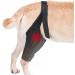 Hip Brace for Dogs - Hip Support for Dogs | High Elasticity Hip Support Breathable Dog Leg Protector with Metal Strip for Small Dog Hamil Black Medium - Buy Online on GoSupps.com