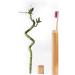 Biodegradable Bamboo Toothbrushes Set with Travel Case & Floss Picks |TanAisu (2 Brown 2 Black 2 White 1 Purple 1 Fuchsia) | Eco-friendly Dental Care Kit - Buy Online on GoSupps.com