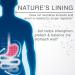 Lane Innovative Nature's Lining Chewable Tablets - Long Lasting Stomach Relief & Digestive Balance Support - 60 Count - Buy Online on GoSupps.com