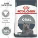 Royal Canin Dental Care Dry Cat Food 8kg Oral Care 8 kg (Pack of 1) - Buy Online on GoSupps.com