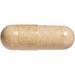 Natural Factors Ginkgo Biloba Phytosome 60 mg 60 Capsules - Buy Online on GoSupps.com