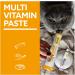 GimCat Multi-Vitamin Paste - Immune-Boosting Cat Snack - 50g Tube - Buy Online on GoSupps.com