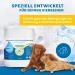 Buy ERORA Anti Giardia Wiping Concentrate - 2 Liters | Effective International Shipping - Buy Online on GoSupps.com