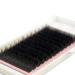 Qeelasee Matte Mink Flat Eyelash Extension 0.25 D Curl 13mm - Professional Salon Grade Individual Eyelashes - 1 Ounce Pack - Buy Online on GoSupps.com