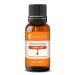 Pure natural apricot oil perfect for aromatherapy cosmetics skin care carrier oil base oil hair oil body oil (10 ml) 10 ml (1 Pack)