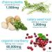 Holistic MD Stone Breaker Chanca Piedra 1500mg Gummies | Kidney Stones Cleanse & Gallbladder Formula | With Cranberry Extract | Urinary Tract Support | Sugar-Free | 60ct - Buy Online on GoSupps.com