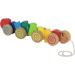 Eichhorn Pull-Along Caterpillar - 32 cm Beech Wood Toy | International Shipping Available - Buy Online on GoSupps.com