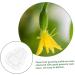 Yardwe 9 Pcs Vegetable Growing Mold Strawberry Accessories Small Fruit Mold Watermelon Multifunction 9x8cmx3pcs Transparentx3pcs - Buy Online on GoSupps.com