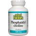 Natural Factors Phosphatidyl Choline 420 mg - 90 Softgels for Brain Health - Buy Online on GoSupps.com