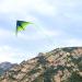 Delta Kite for Kids & Adults - Easy-to-Fly, Beginner-Friendly - Mint's Colorful Life - Buy Online on GoSupps.com