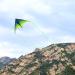 Buy Mint's Colorful Life Delta Dragon Flight Kite - Easy to Fly 60'' Kite for Kids & Adults with 300ft Cord - Perfect Beginner Kite in Green & Black - Buy Online on GoSupps.com