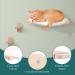 Cat Wall Hammock Shelf | Kitty Lotus Bed | Wall-Mounted Climber Stair | Houseables - Buy Online on GoSupps.com
