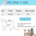 Cat Recovery Suit Cat Professional Recovery Suit for Abdominal Wounds or Skin Diseases After Surgery E-Collar Alternative for Cats Anti Licking Pajama Suit Kittesn Surgery Recovery Suit(Blue L Size) - Buy Online on GoSupps.com