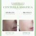 Centella Calming Gel Cream Face Moisturiser for Acne Prone Skin Sensitive Oily Dry Skin Face Moisturizer for Women with Tea Tree Oil Korean Skincare Korean Moisturiser (1 Piece) - Buy Online on GoSupps.com