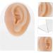Piercing Tools Simulation Left Ear Model Display Prosthesis Mold Silica Gel Silicone Earring Mold for Body Art - Buy Online on GoSupps.com