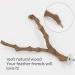 Kathson Parrot Perch Stand - Natural Wild Grape Paw Grinding Pole for Parakeet, Cockatiels, Budgies, Conure, Lovebirds | Bird Cage Accessories - Buy Online on GoSupps.com