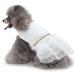 Qcwwy Princess Dress for Dogs & Cats - Comfortable Mesh Summer Dress for Small Pets - Breathable Polyester High-Time Fashion (M) - Buy Online on GoSupps.com