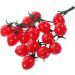 OUNONA 4pcs String Simulated Cherry Tomatoes Mini Decor Home Fake Fruit Prop Kid Toy Realistic Cherry Toys Artificial Cherry Tomatoes Garland Faux Window Red Small Tomatoes Child Pvc Redx4pcs 18X16CMx4pcs - Buy Online on GoSupps.com